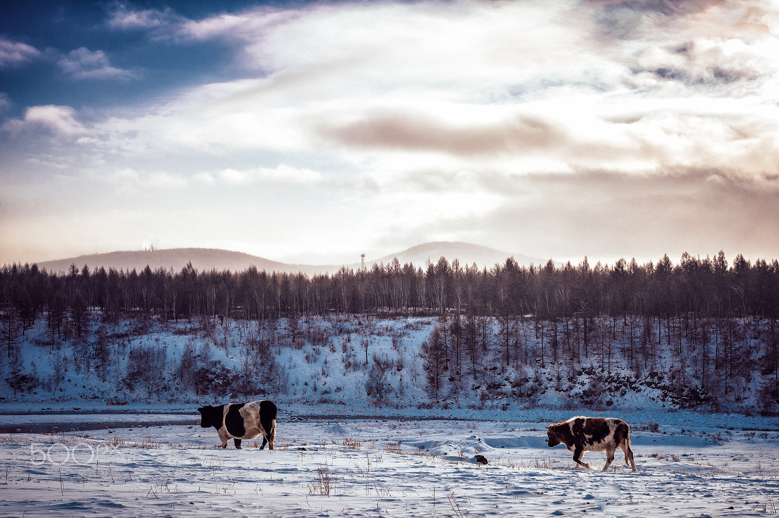 Nikon Df sample photo. Snow adventure photography