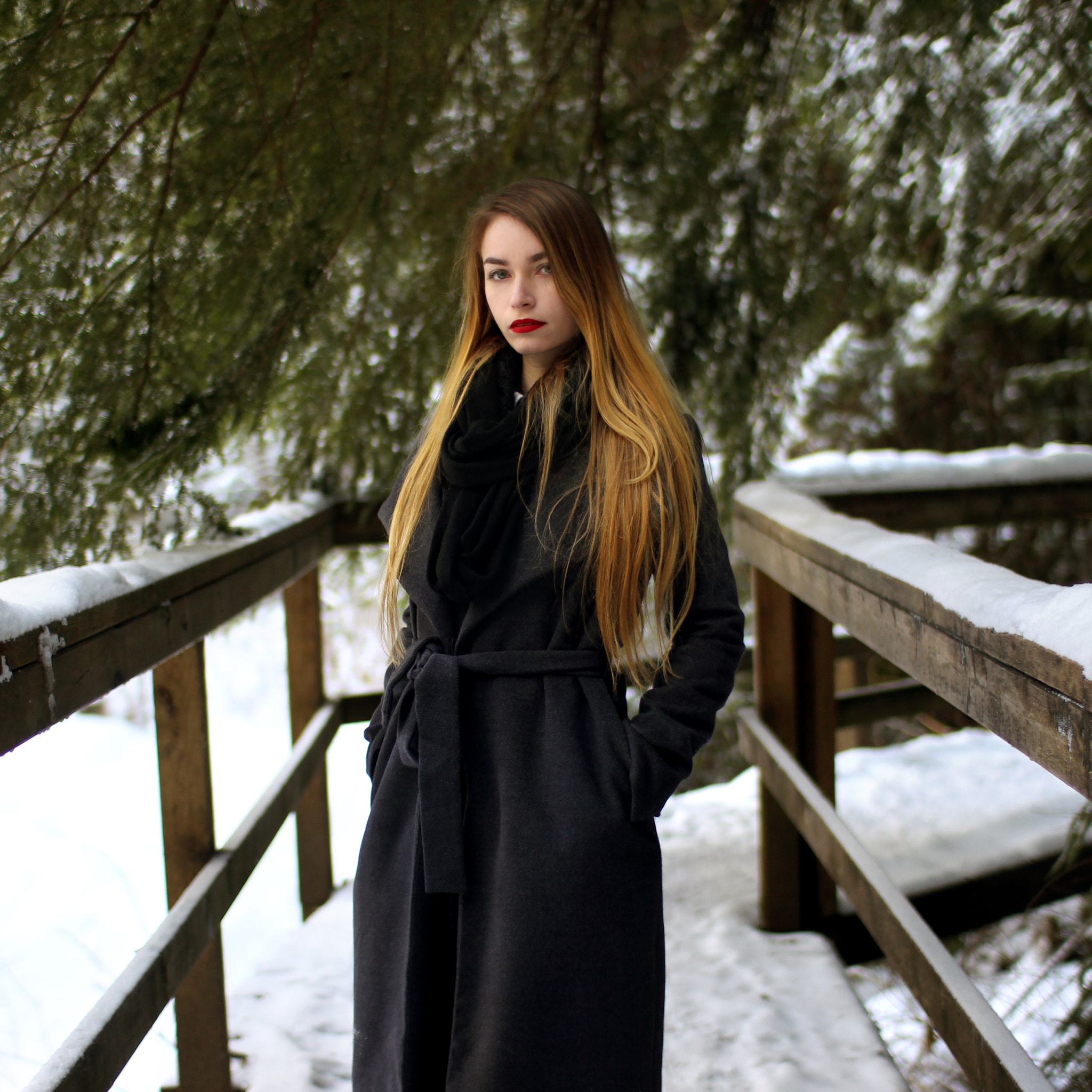 Sigma 30mm F1.4 EX DC HSM sample photo. Winter walk photography