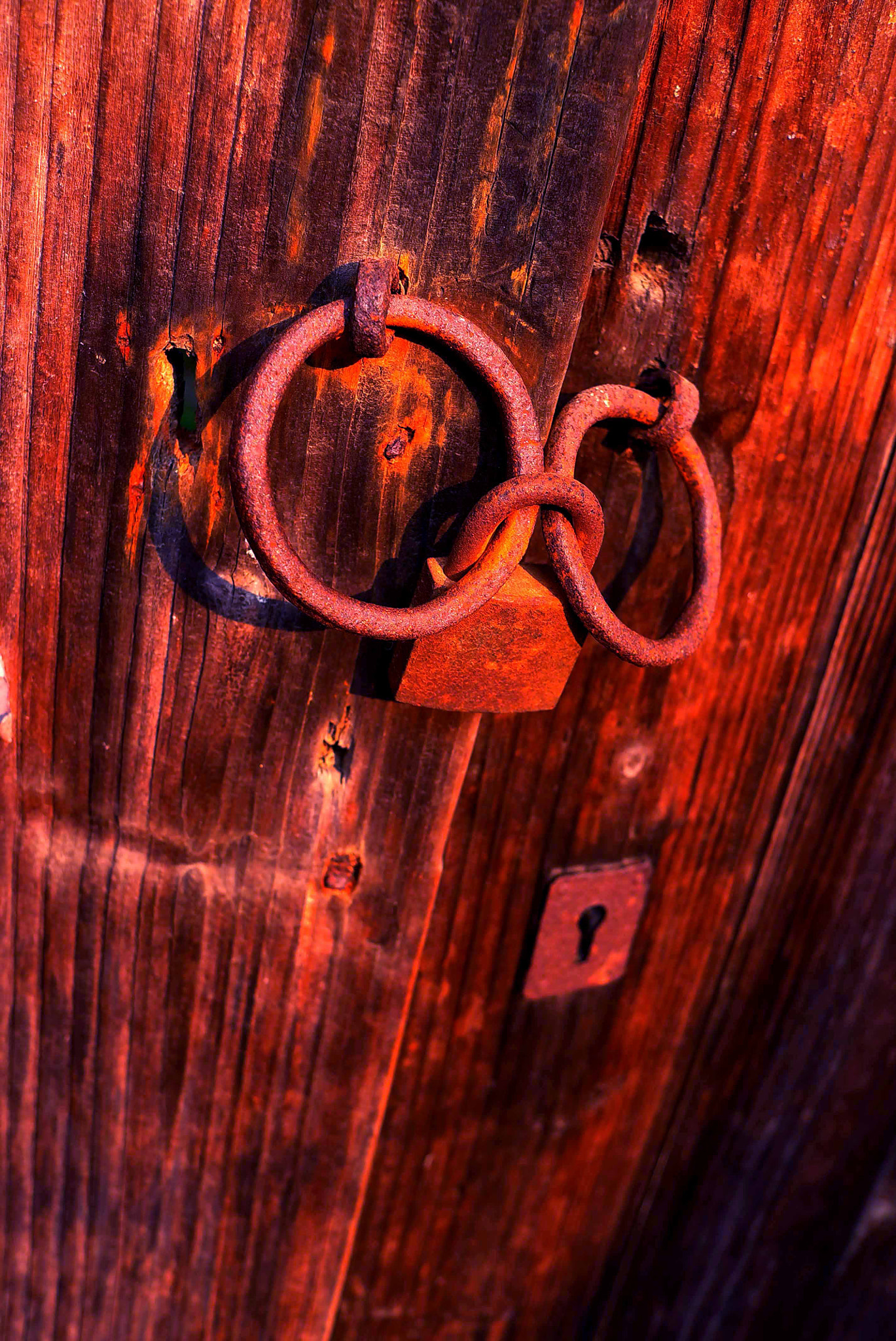Leica X1 sample photo