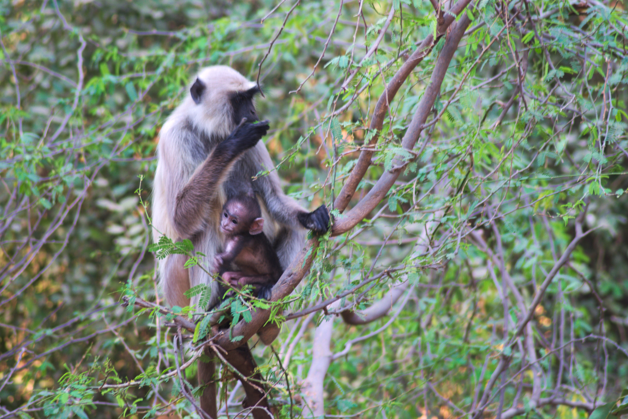 Nikon AF Nikkor 70-300mm F4-5.6G sample photo. A mother with her child photography