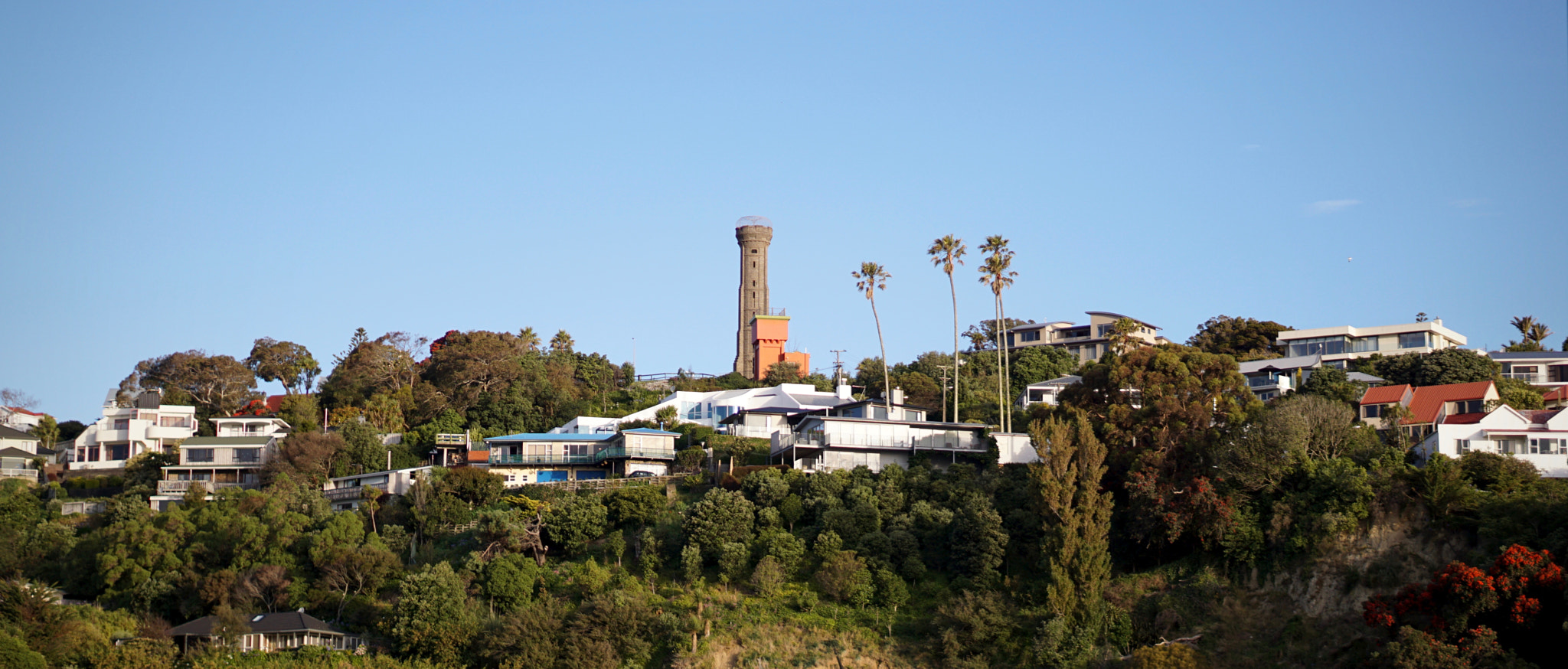 Sony E 50mm F1.8 OSS sample photo. Wanganui summer photography