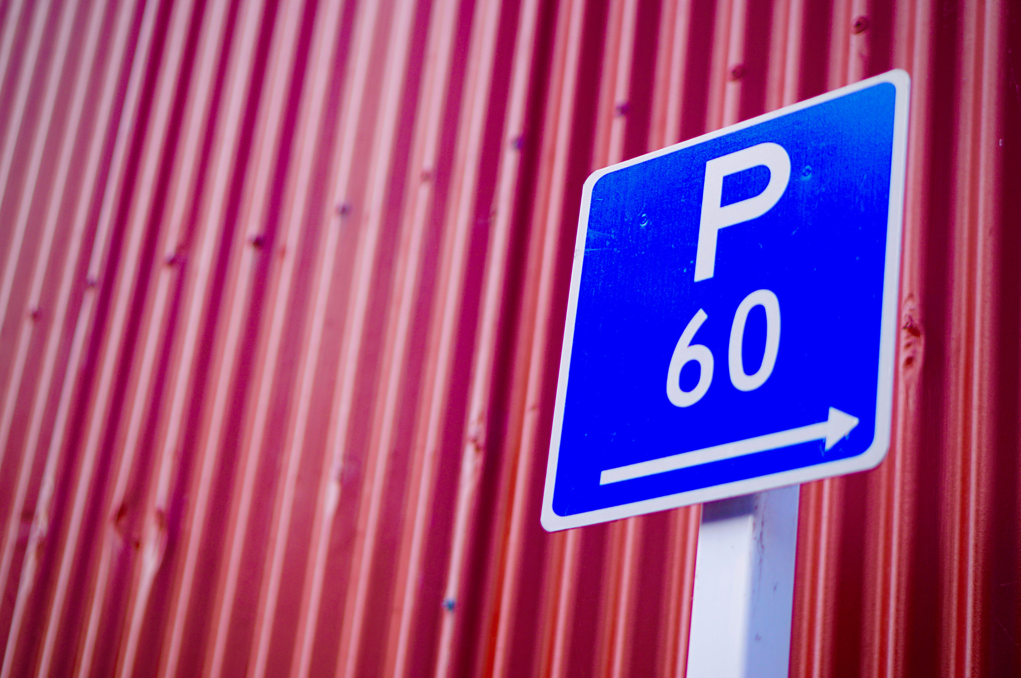 Sony E 50mm F1.8 OSS sample photo. 60min photography