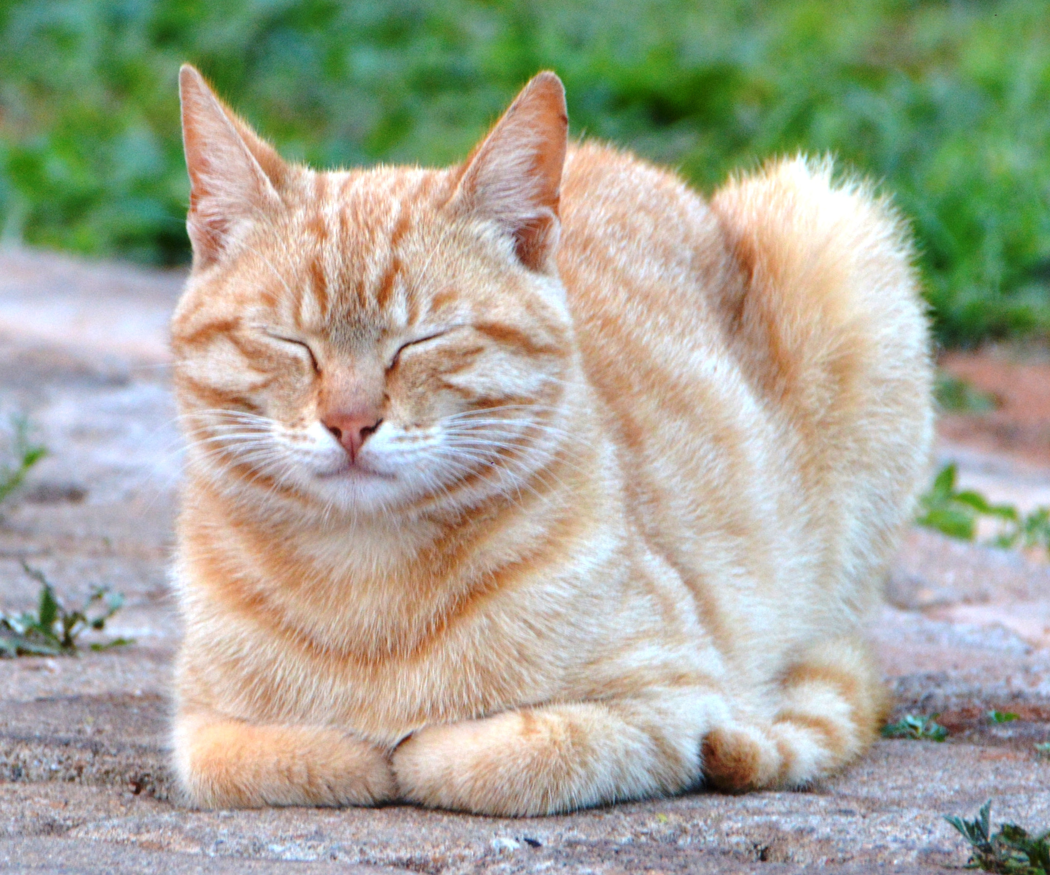 Nikon D3200 sample photo. Feeling the love photography