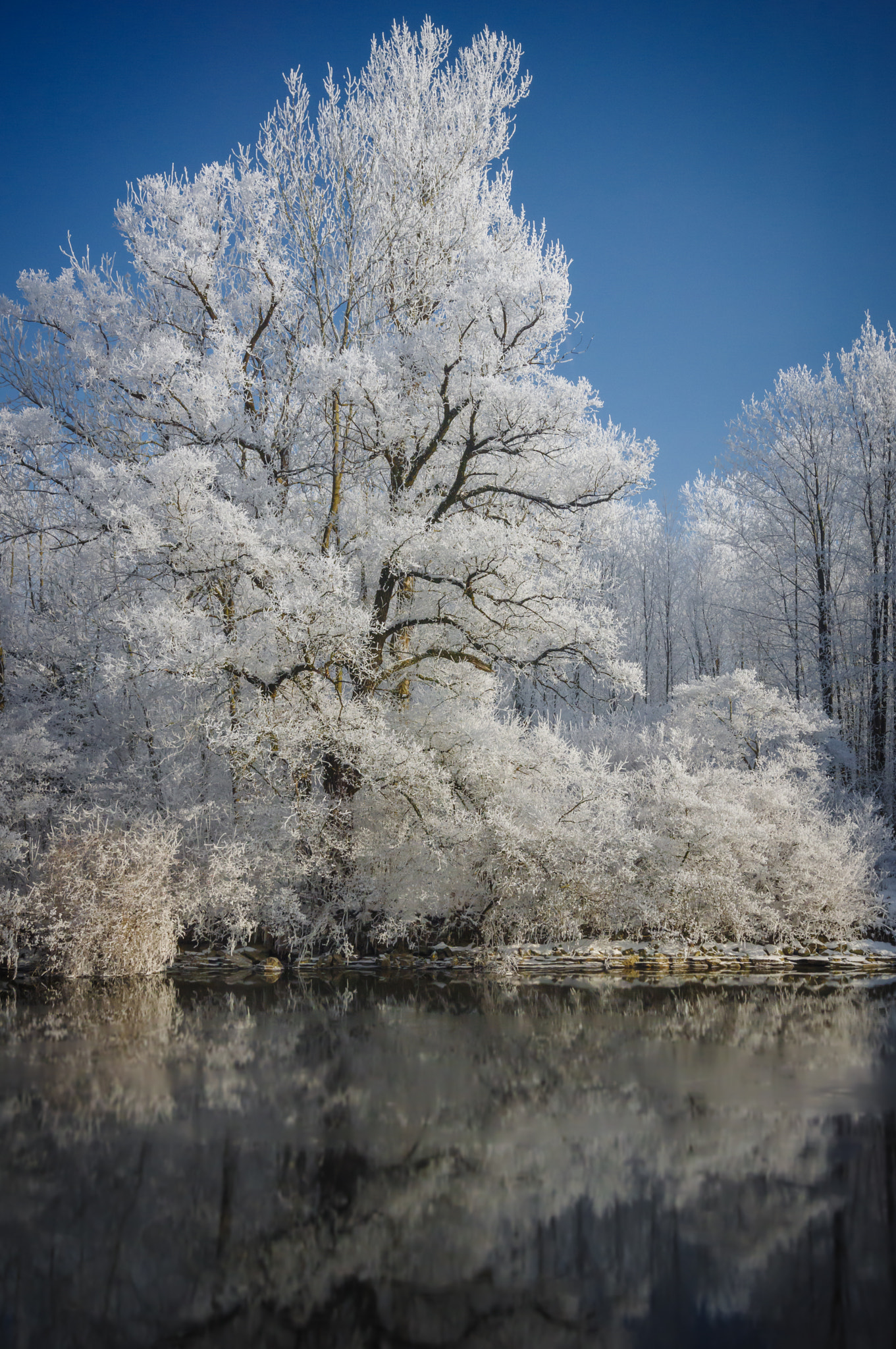 Pentax K-3 II sample photo. Bavaria is frozen photography