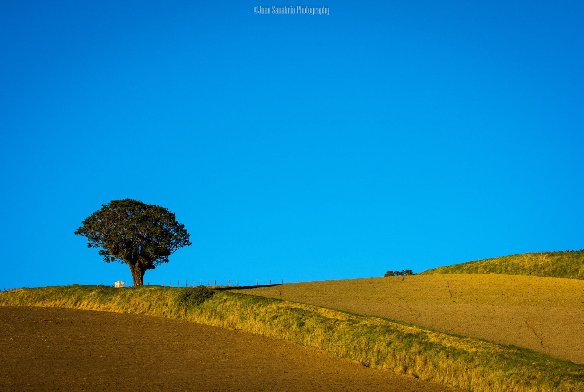 Sigma 70-300mm F4-5.6 DG OS sample photo. Standing there on a sunny afternoon photography