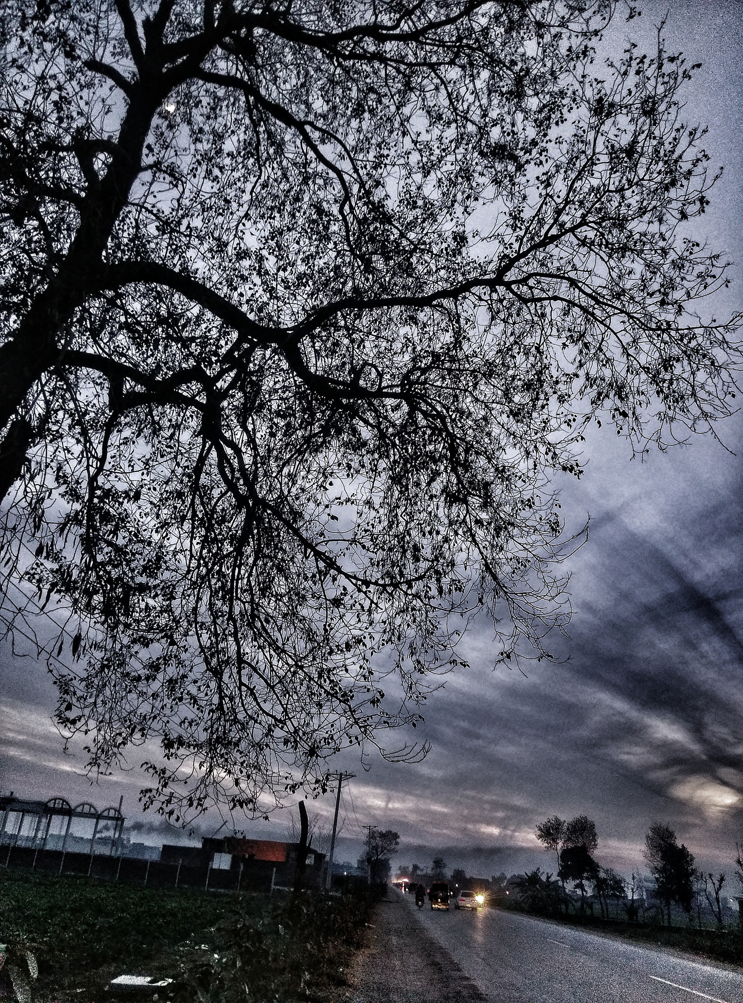 HTC ONE A9 sample photo. Dark nature ! photography