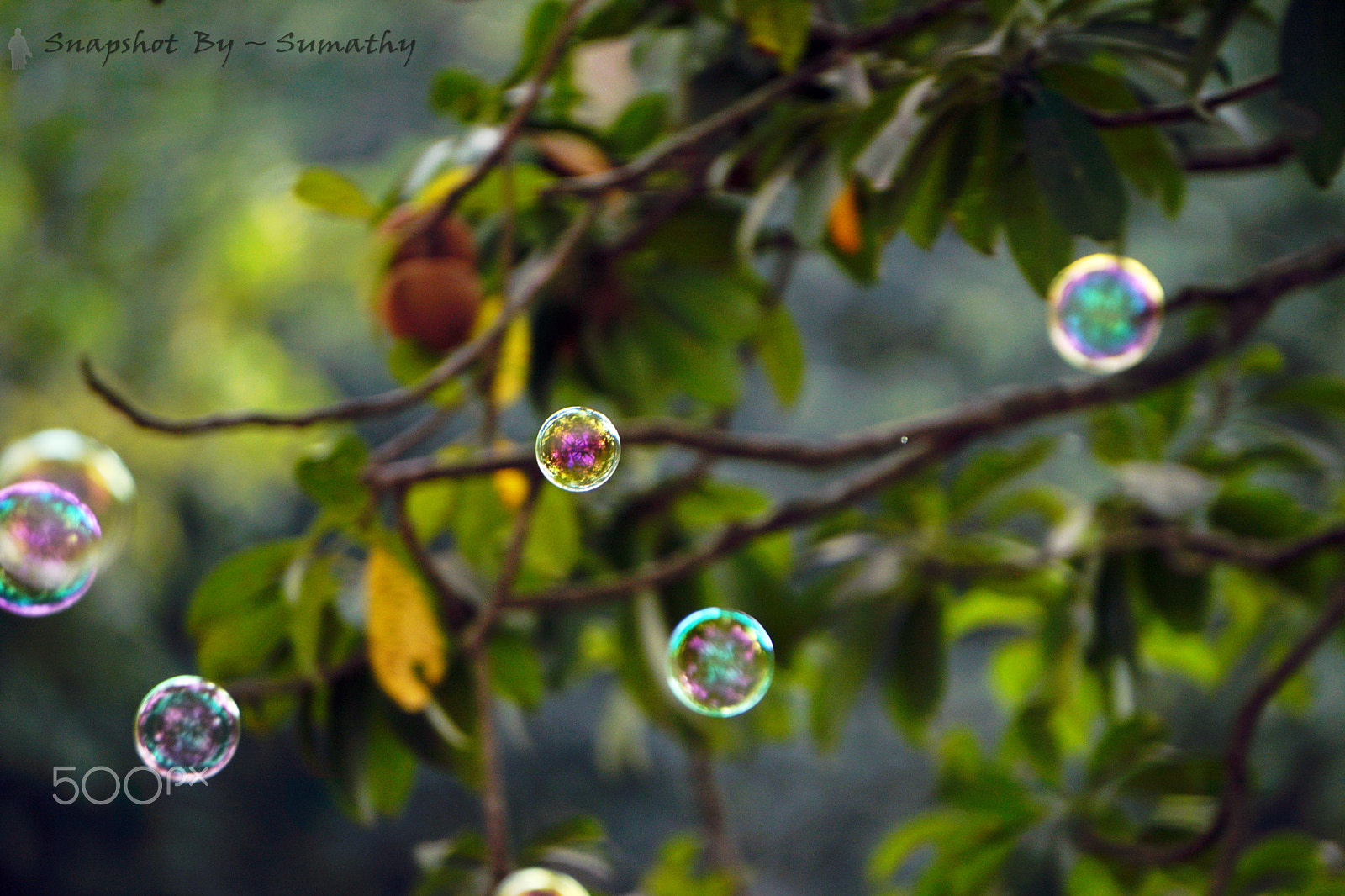 Sony a6300 + Sony E 55-210mm F4.5-6.3 OSS sample photo. Bubbles photography