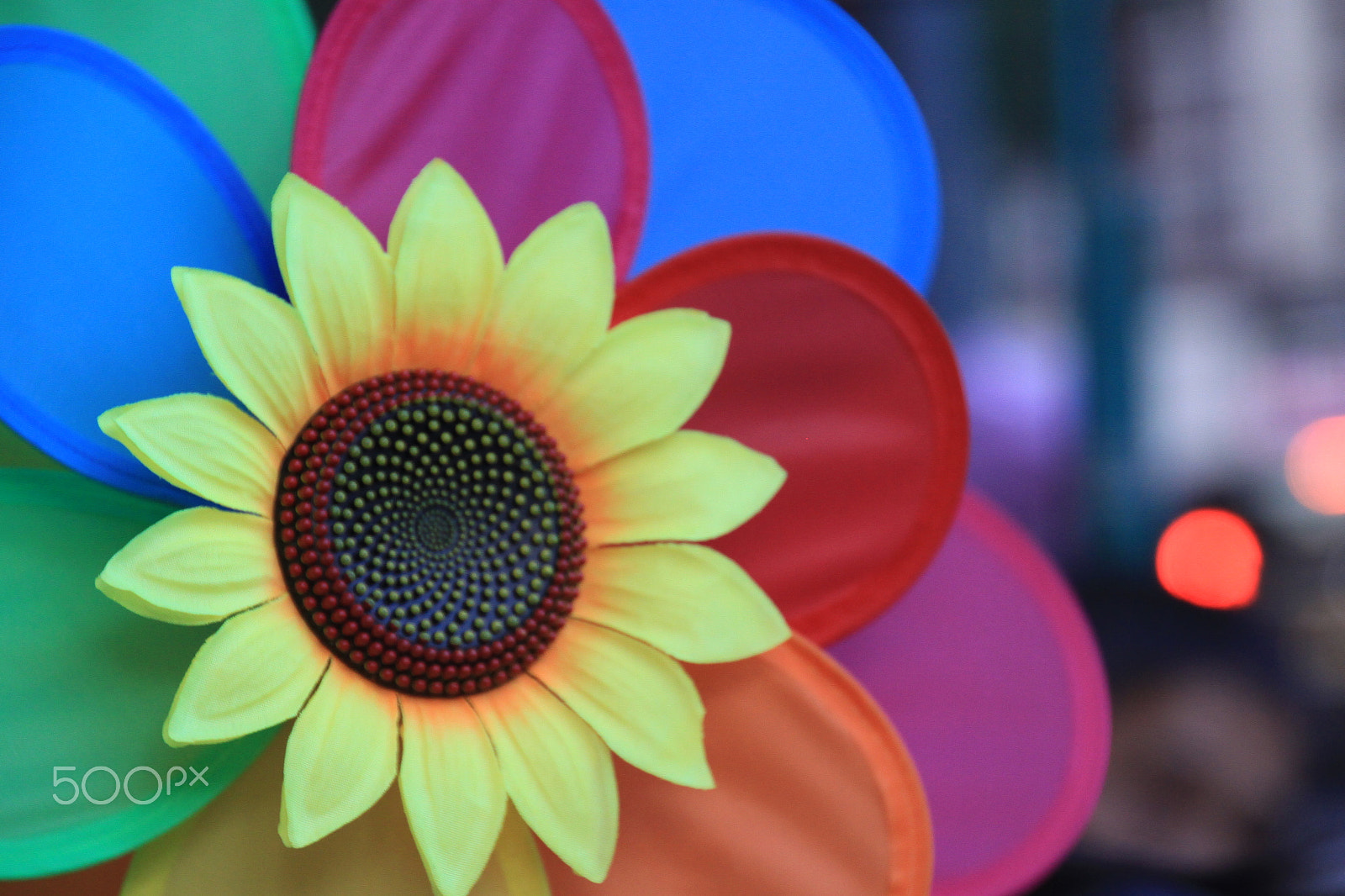 Canon EOS 50D sample photo. Img photography