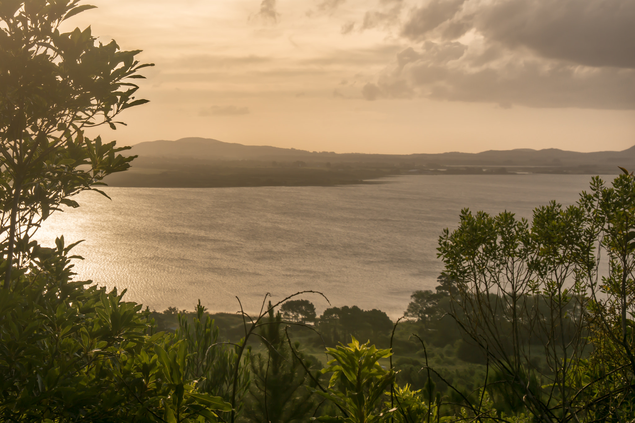 Nikon D7200 sample photo