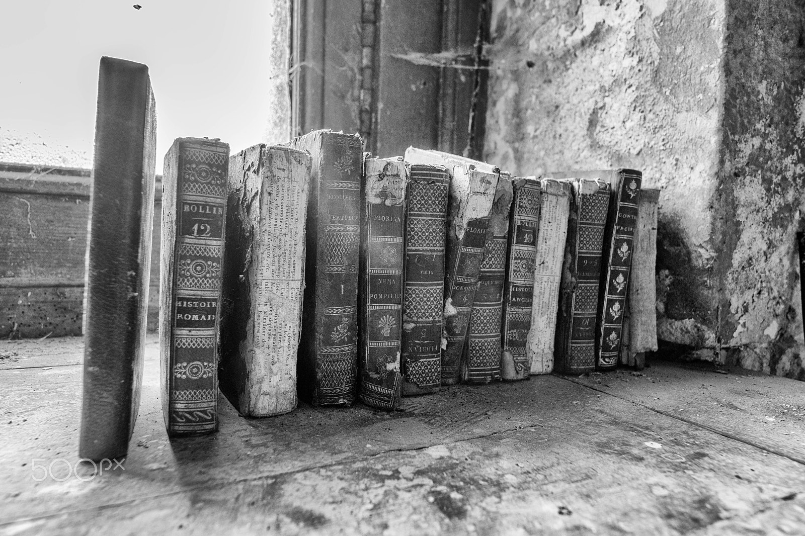 Nikon D500 sample photo. Books photography