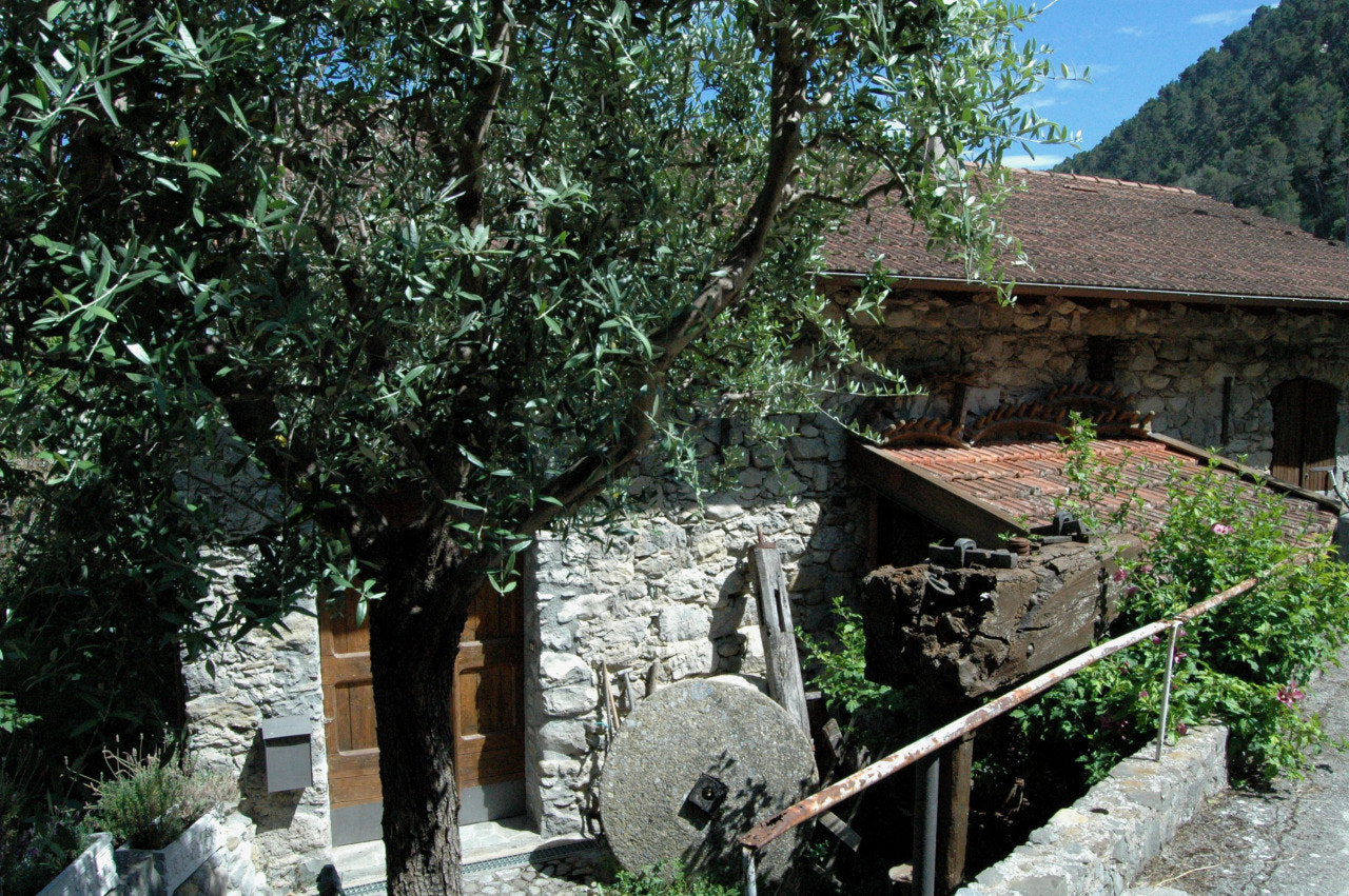 Nikon D70 sample photo. Sapergo:

olivetta san michele (im) località torre val bevera - vecchio mulino photography