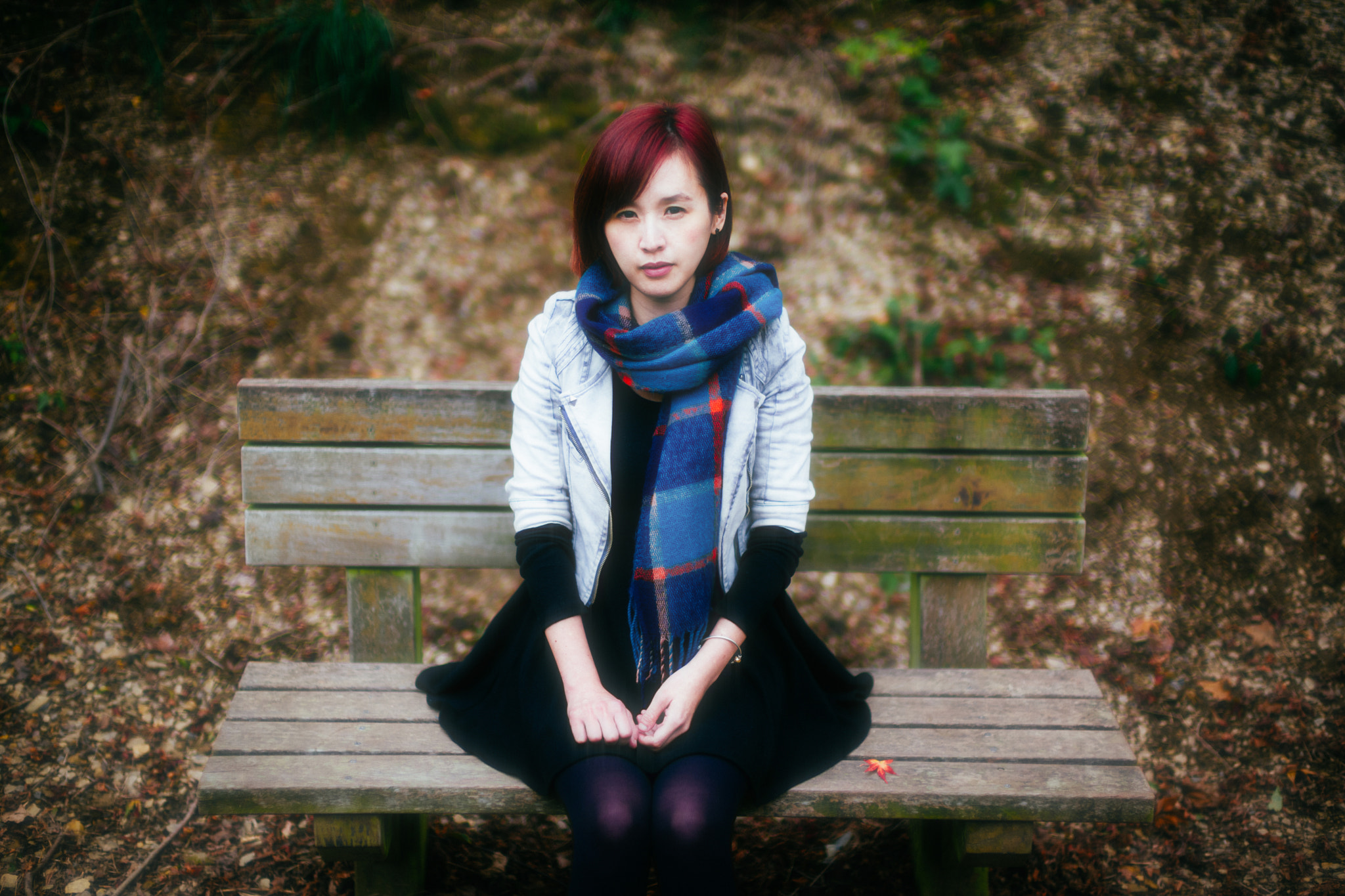 Leica Noctilux-M 50mm F0.95 ASPH sample photo