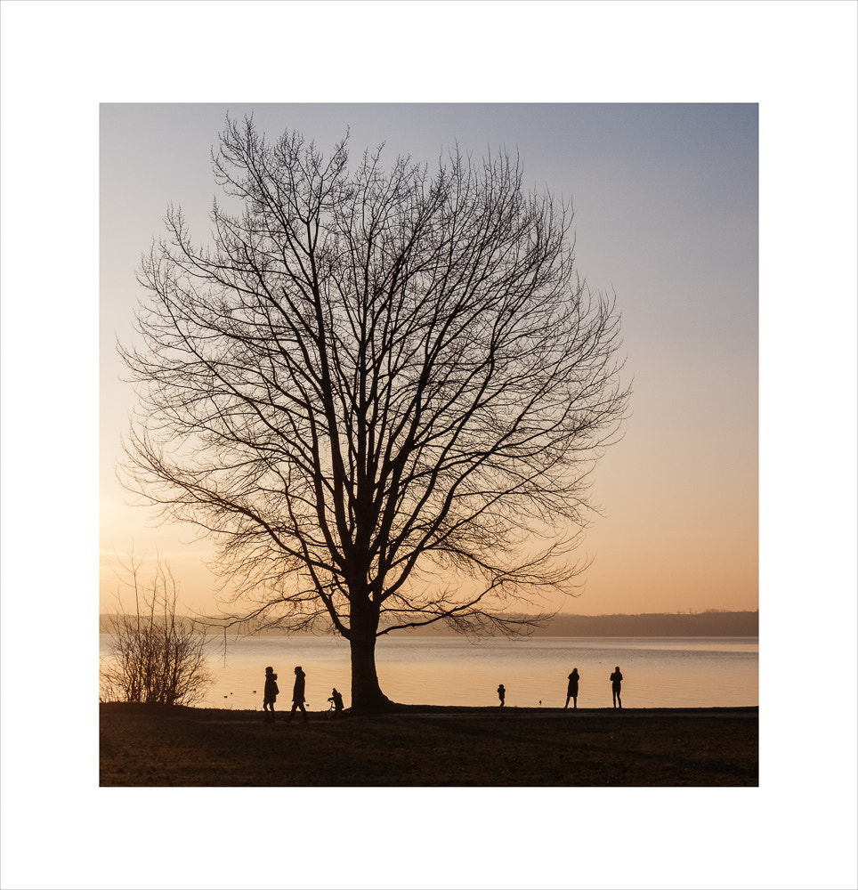 Fujifilm XC 16-50mm F3.5-5.6 OIS sample photo. Sunset walk photography