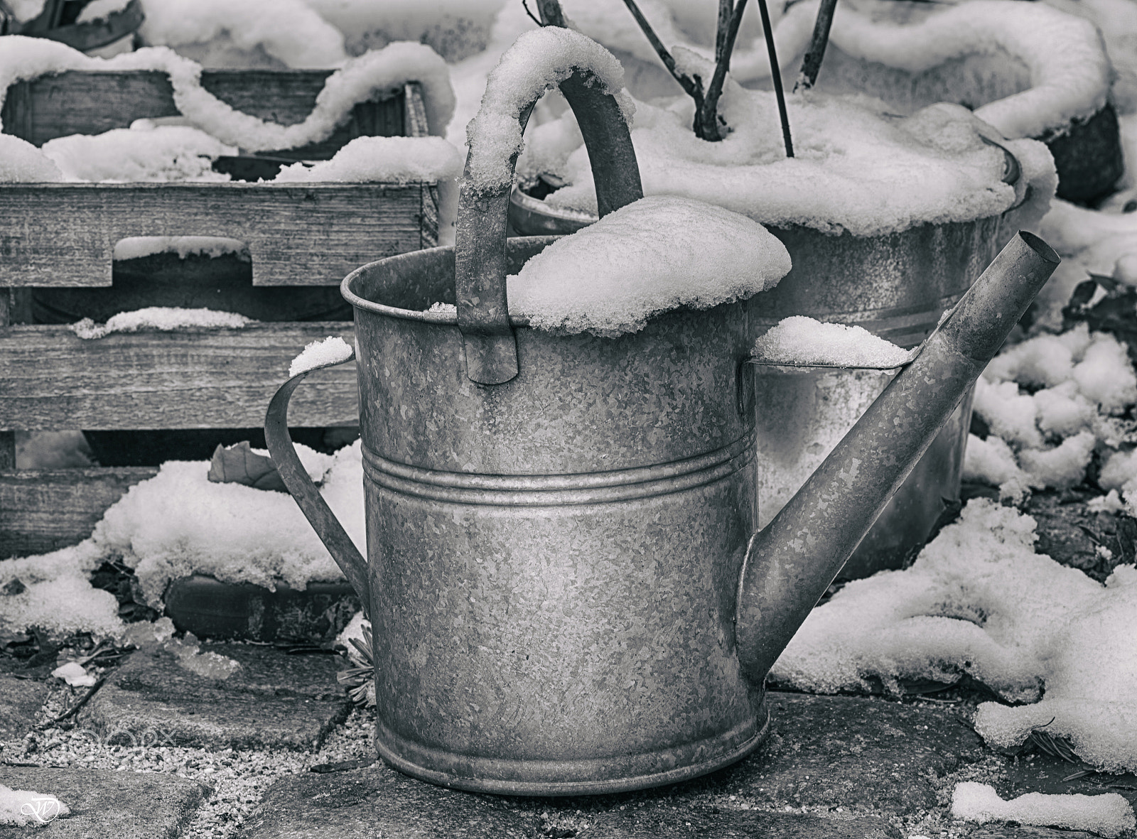 Tokina AT-X Pro 100mm F2.8 Macro sample photo. The last snow photography