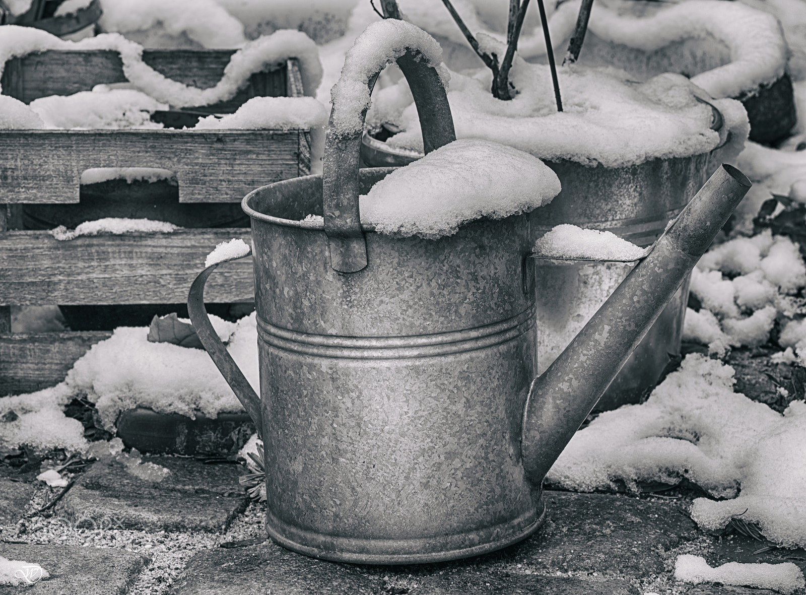 Nikon D750 + Tokina AT-X Pro 100mm F2.8 Macro sample photo. The last snow photography