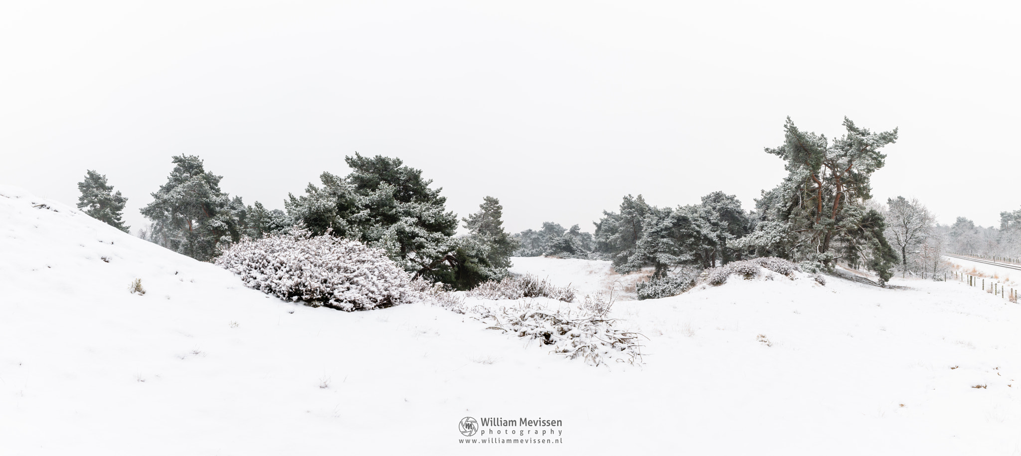 Canon EF 24-70mm F4L IS USM sample photo. Panorama - winter wonderland photography