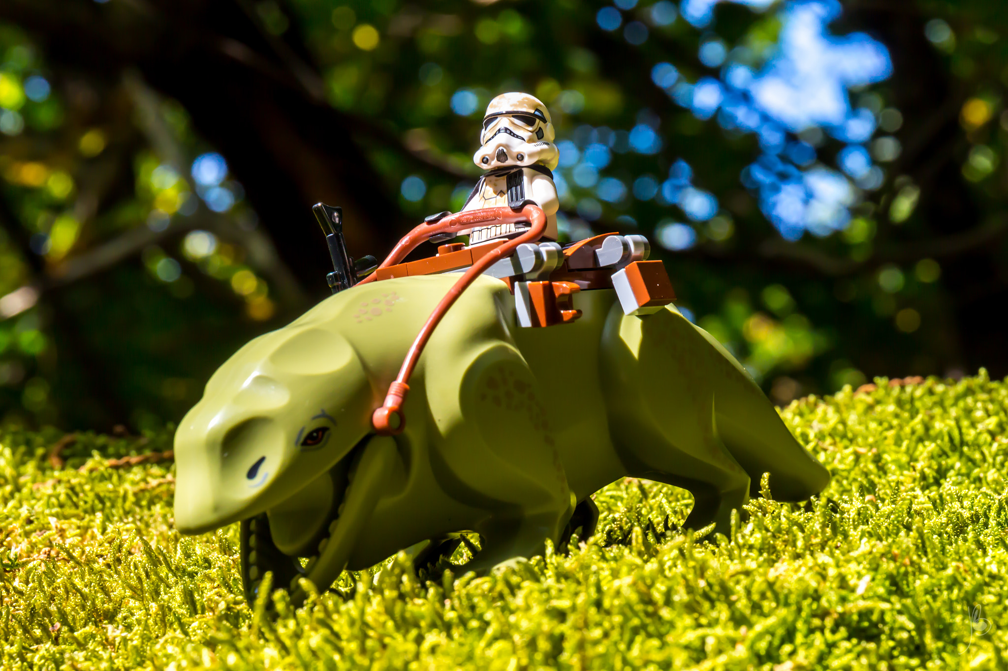 Canon EF 24-70mm F4L IS USM sample photo. Dewback photography