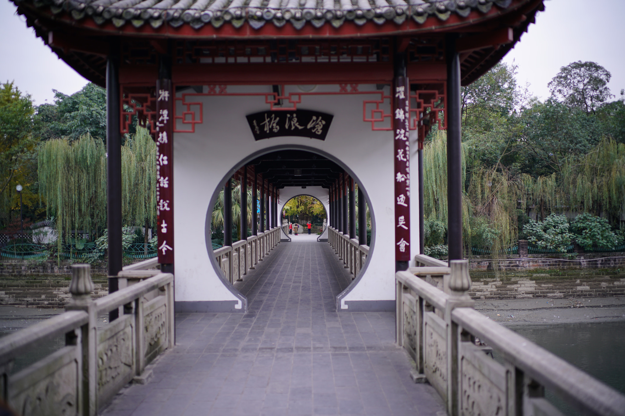 Canon EF 40mm F2.8 STM sample photo. A thousand years tree at the end of bridge,zoom in! photography