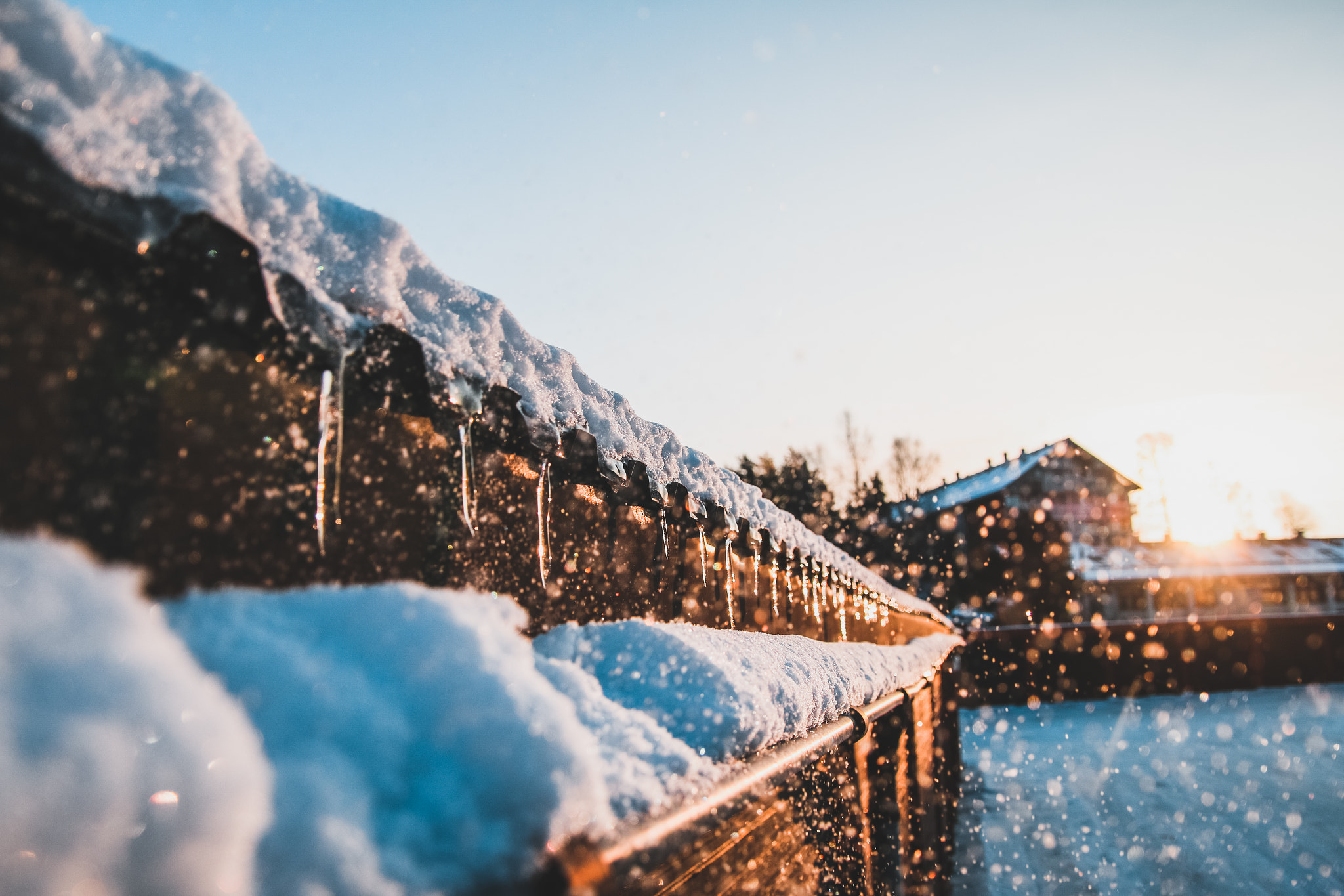 Sigma 18-50mm f/2.8 Macro sample photo. Winter morning photography