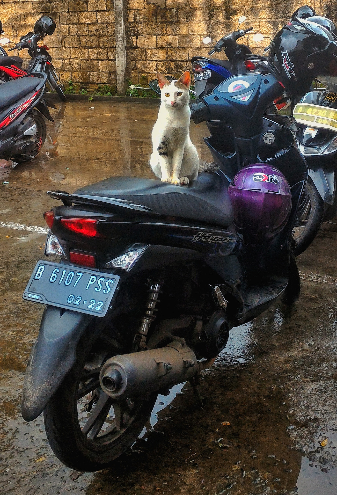 ASUS Z008D sample photo. Need a ride? photography