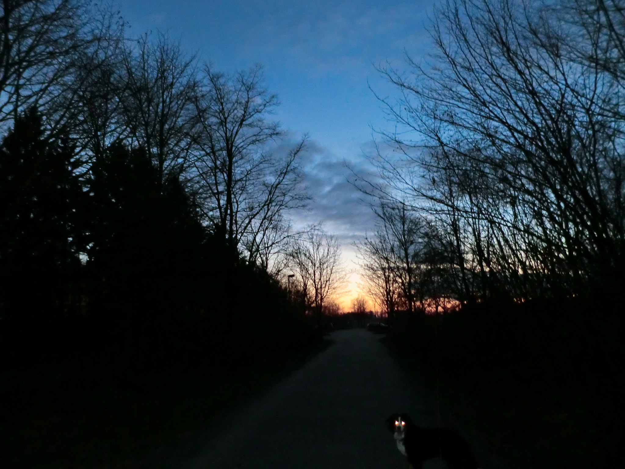 CASIO EX-S200 sample photo. Tini's &zigster photography