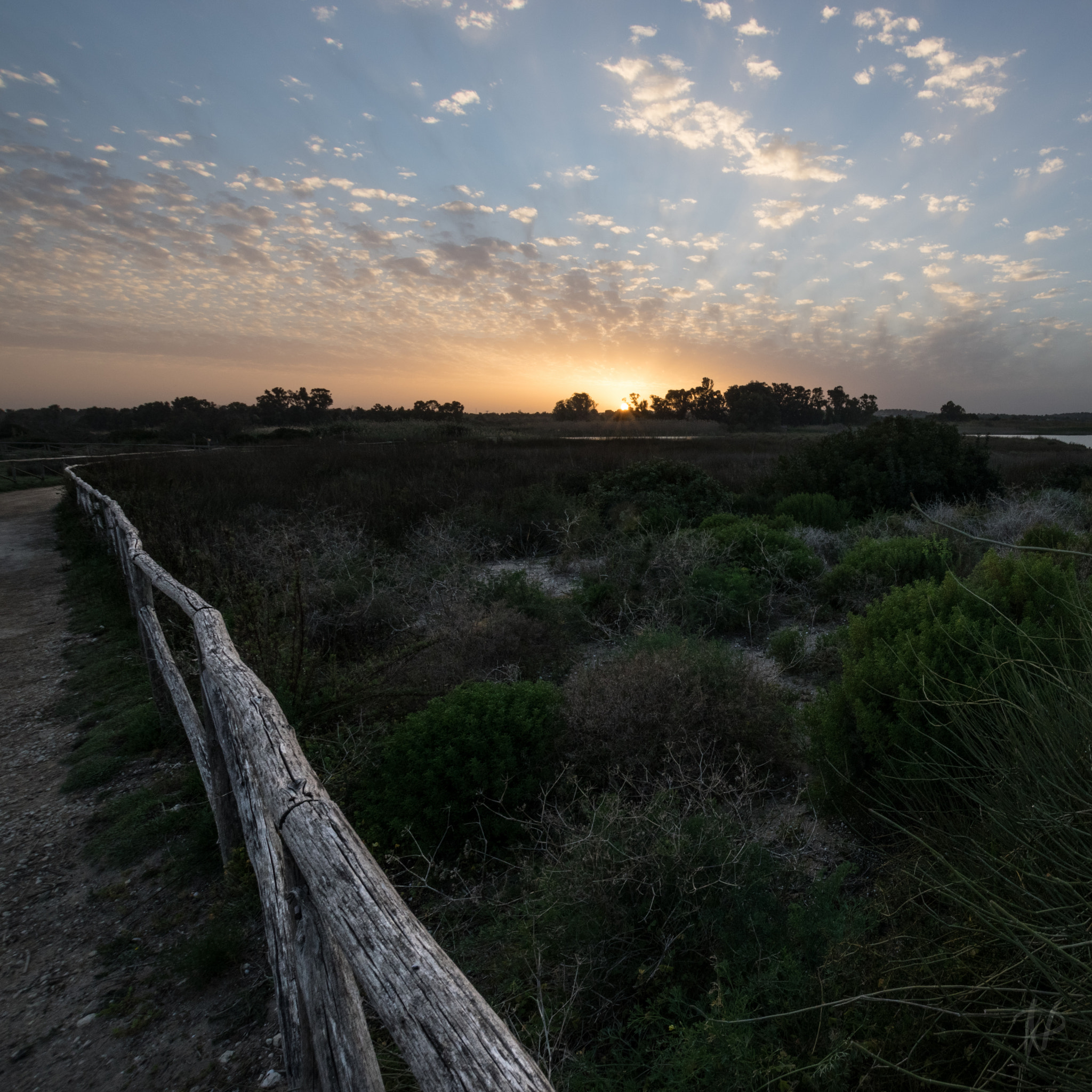 Sigma 10-20mm F3.5 EX DC HSM sample photo. Vendicari photography