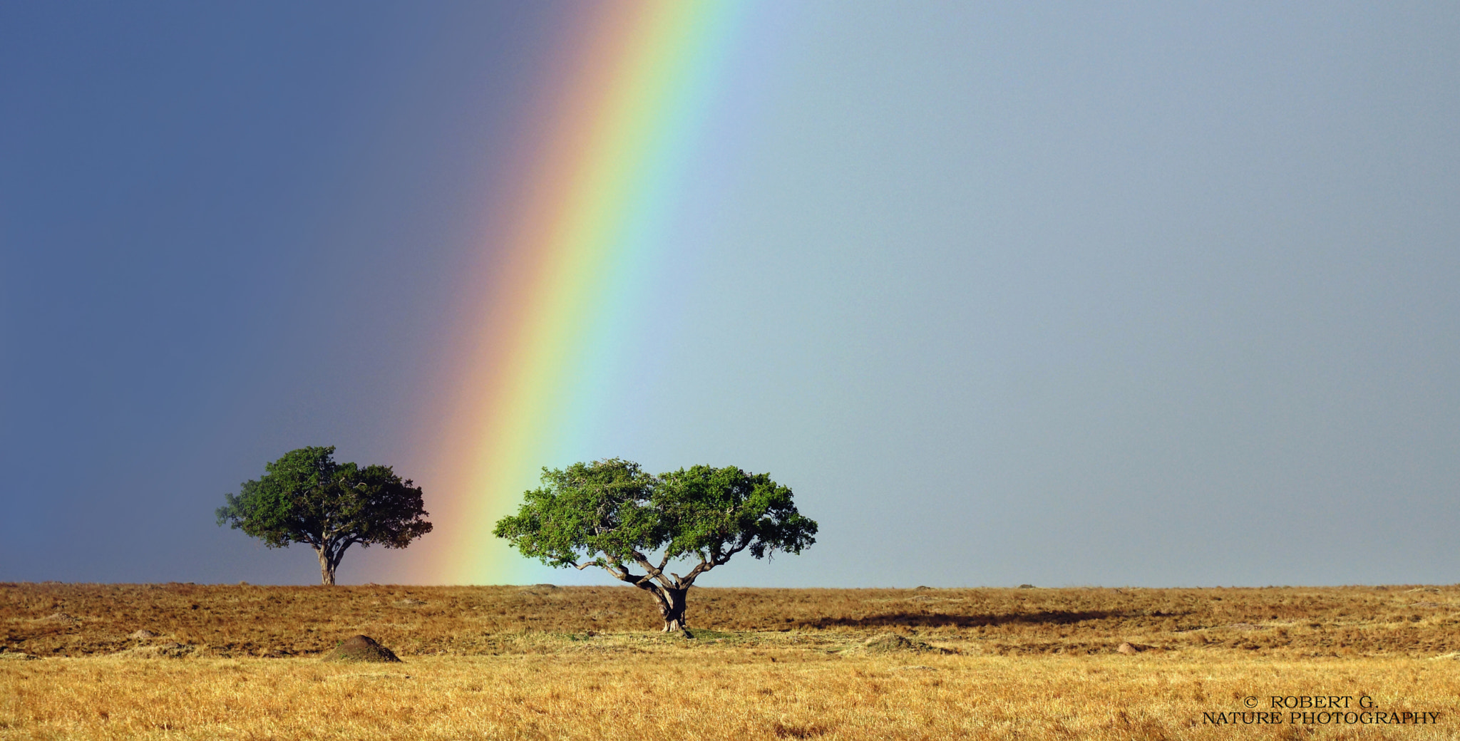Sony SLT-A77 sample photo. Rainbow over masai mara 2016 photography