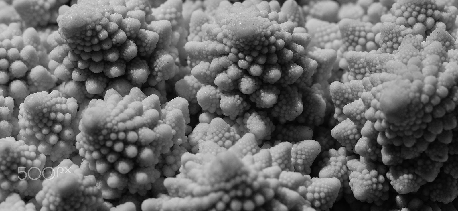 Sigma 105mm F2.8 EX DG OS HSM sample photo. Folding space photography