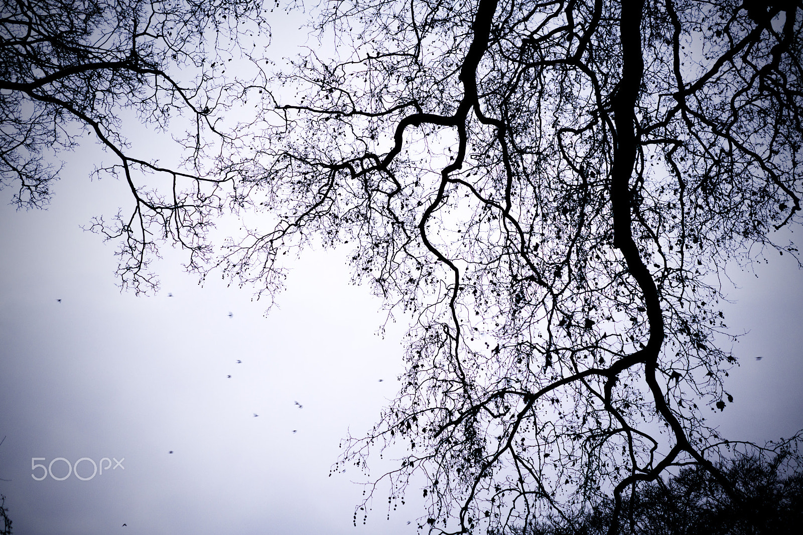 Sony FE 28mm F2 sample photo. When the day meets the night photography