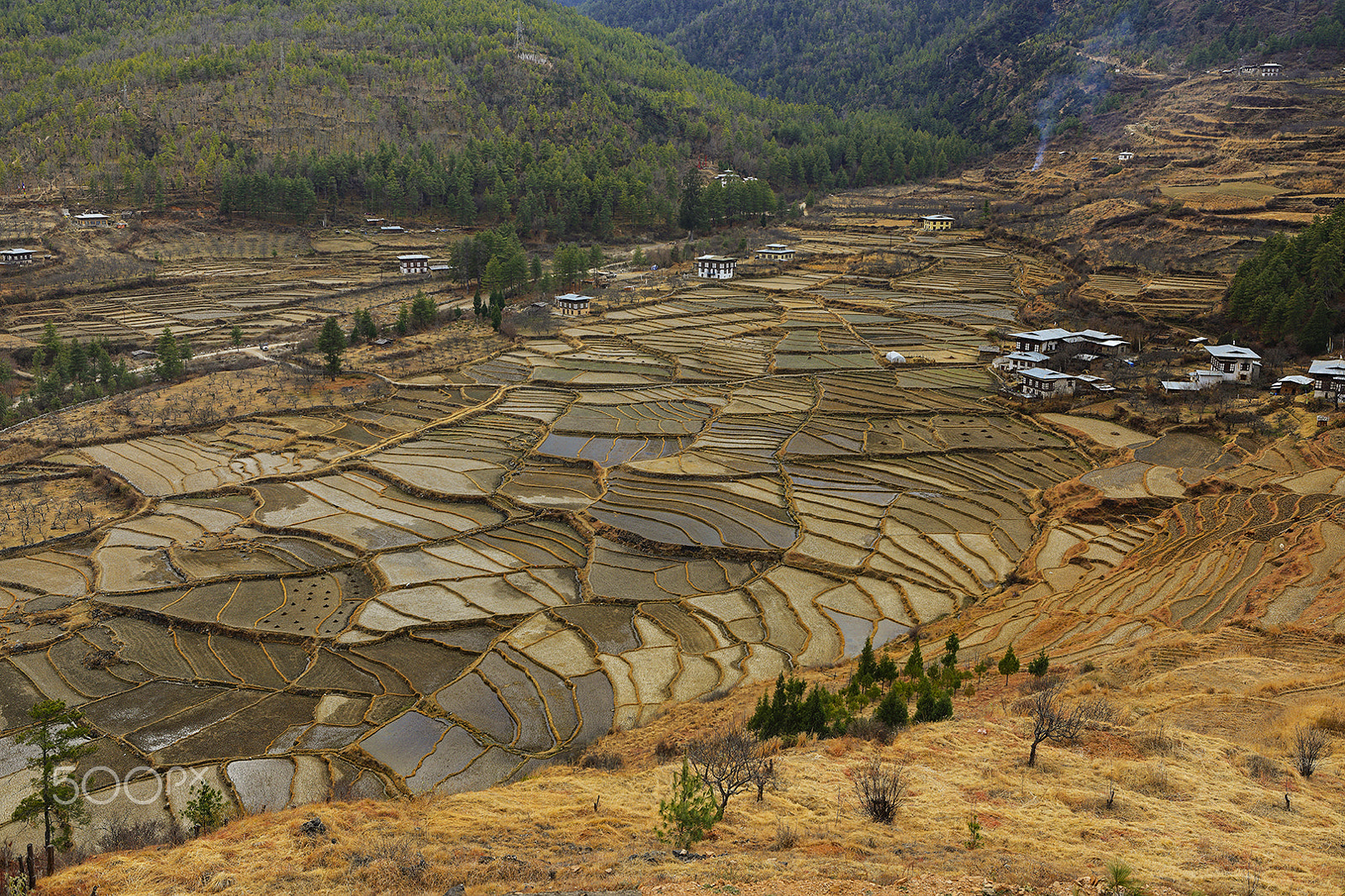 Canon EF 24-70mm F2.8L USM sample photo. Paro photography