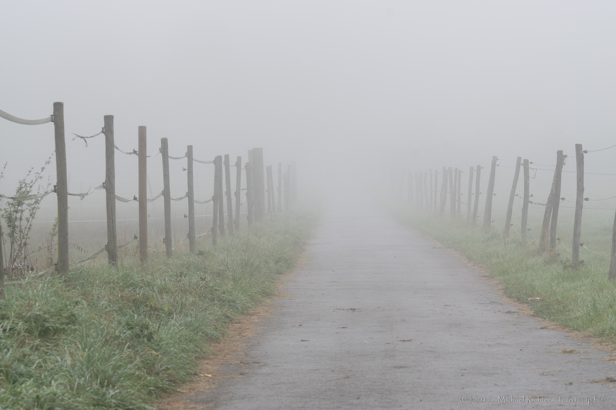 Sony ILCA-77M2 + 105mm F2.8 sample photo. Misty path photography