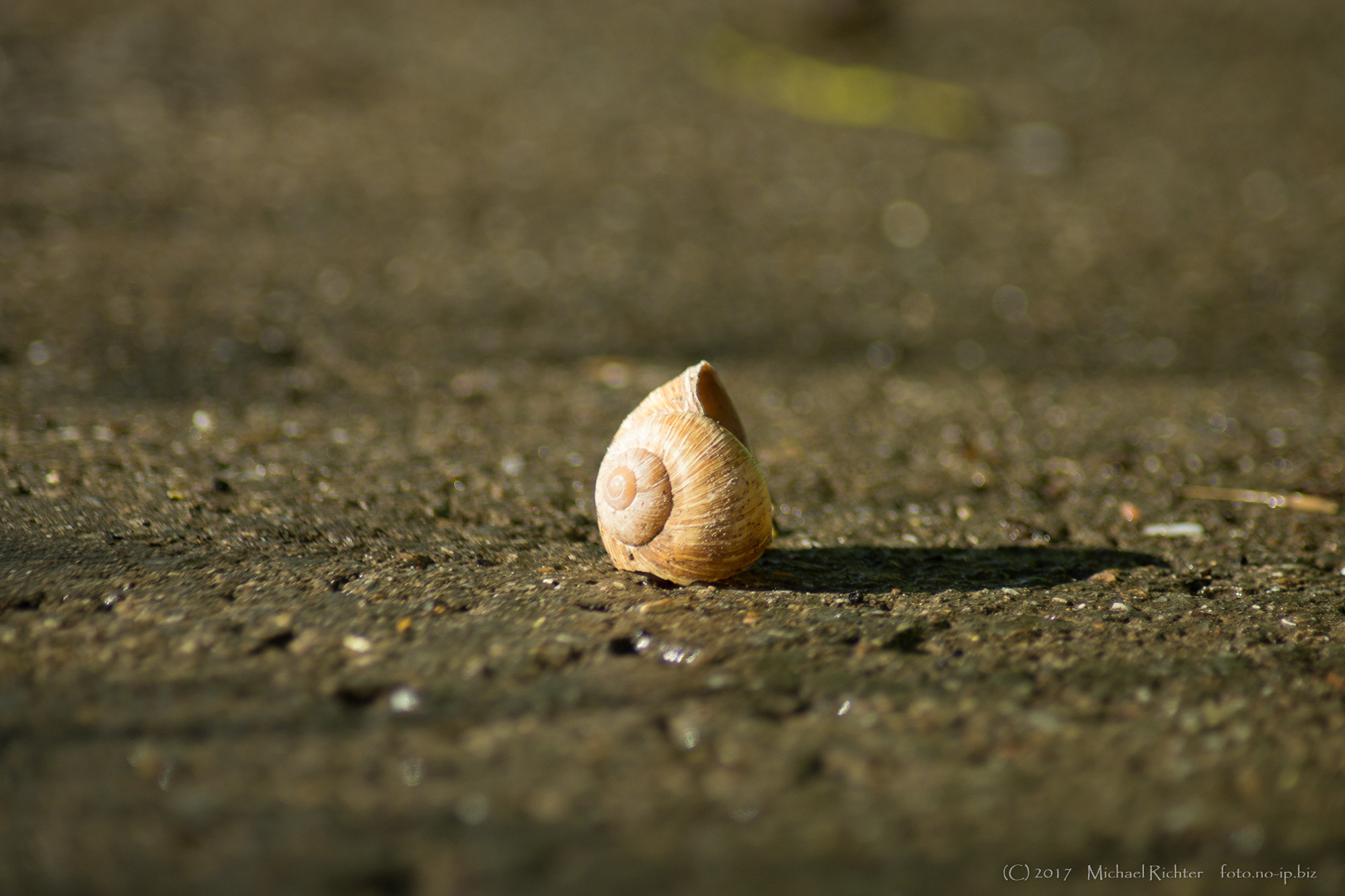 Sony SLT-A65 (SLT-A65V) sample photo. Verlassenes haus photography
