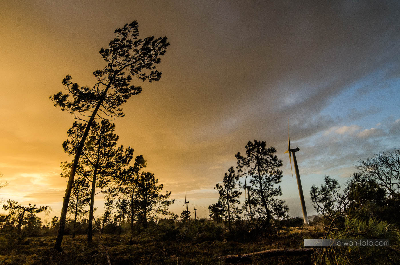 Samyang 14mm F2.8 ED AS IF UMC sample photo. Windmill photography