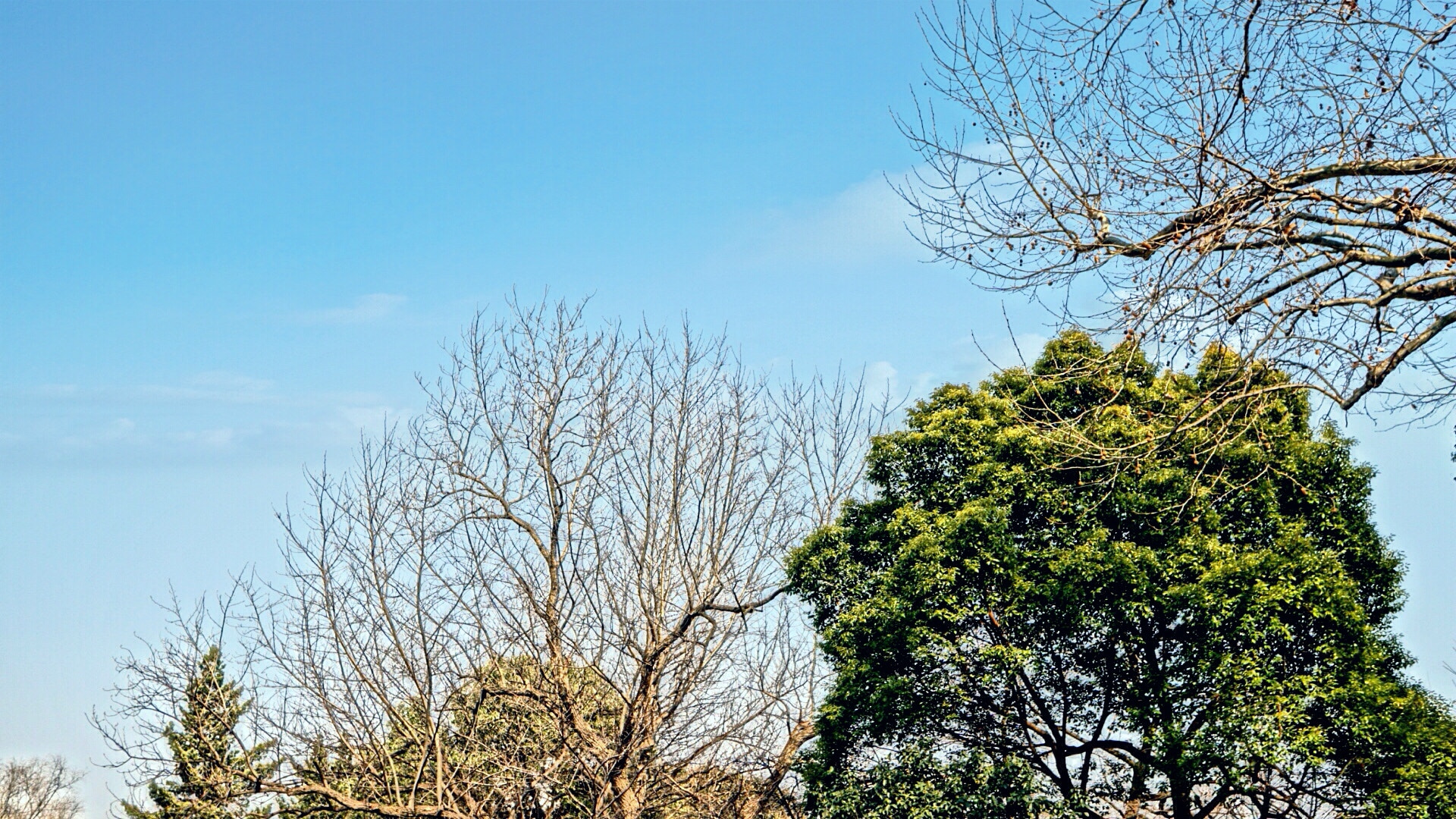 Sony a5100 + Sony E 30mm F3.5 sample photo. It's nice weather today in shanghai photography