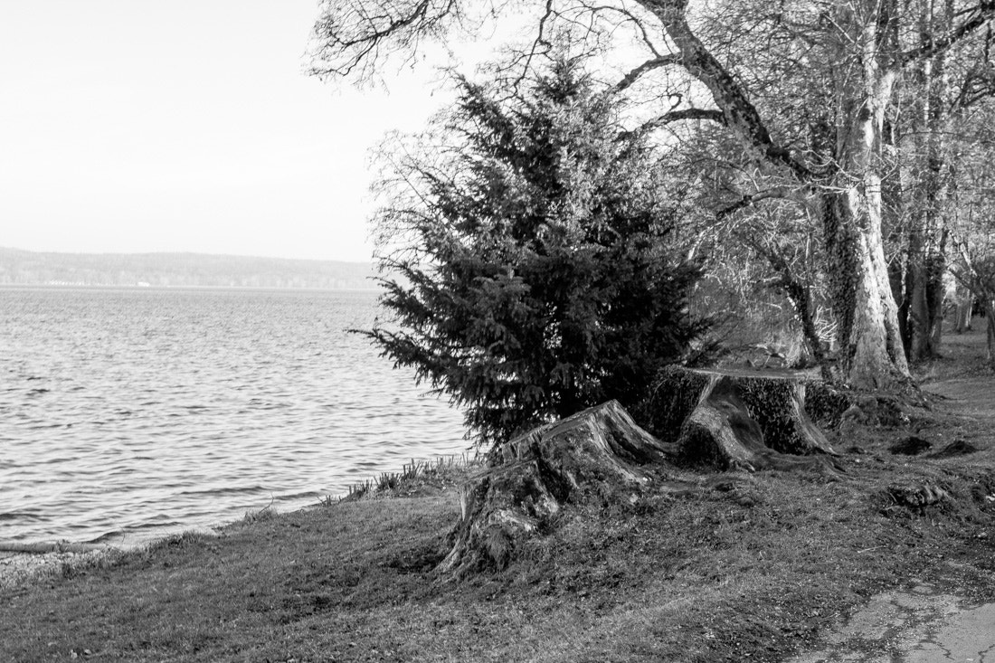 Canon EOS 760D (EOS Rebel T6s / EOS 8000D) + Canon EF 24-105mm F4L IS USM sample photo. Winter at starnberger see photography