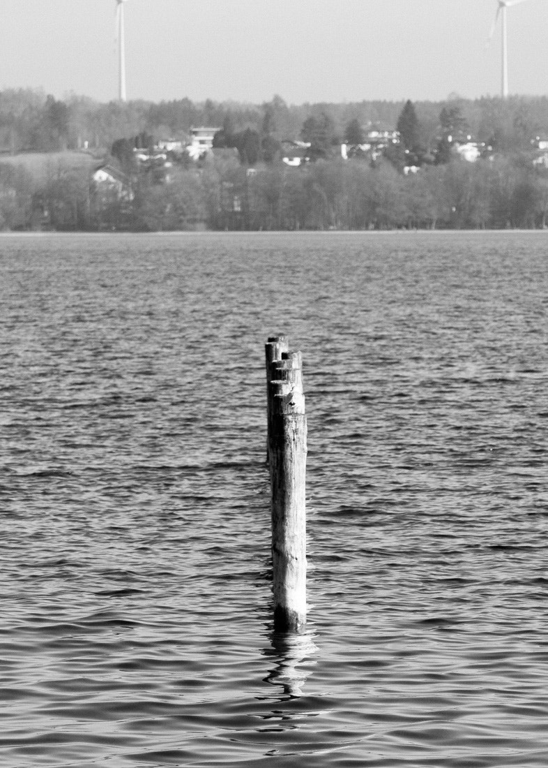 Canon EOS 760D (EOS Rebel T6s / EOS 8000D) + Canon EF 24-105mm F4L IS USM sample photo. Winter at starnberger see photography