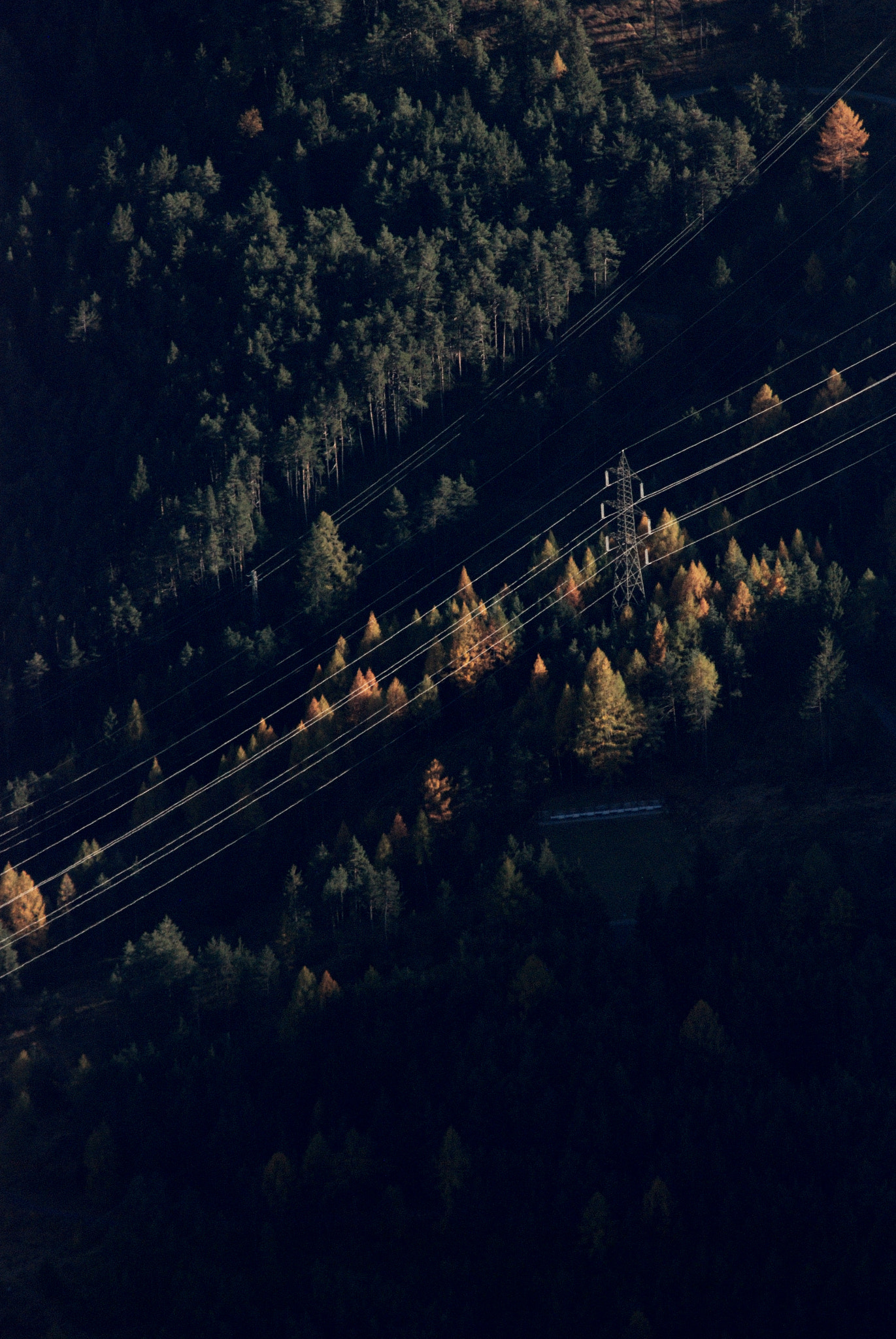 Nikon D80 + AF Zoom-Nikkor 75-300mm f/4.5-5.6 sample photo. Power line photography