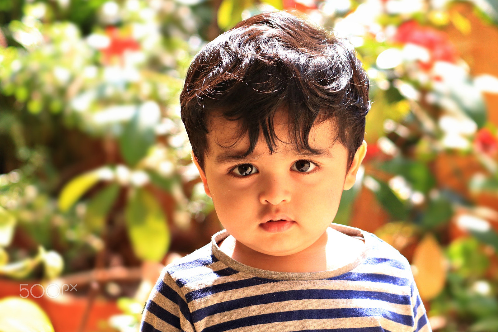 Canon EF-S 55-250mm F4-5.6 IS II sample photo. Img master shaan photography