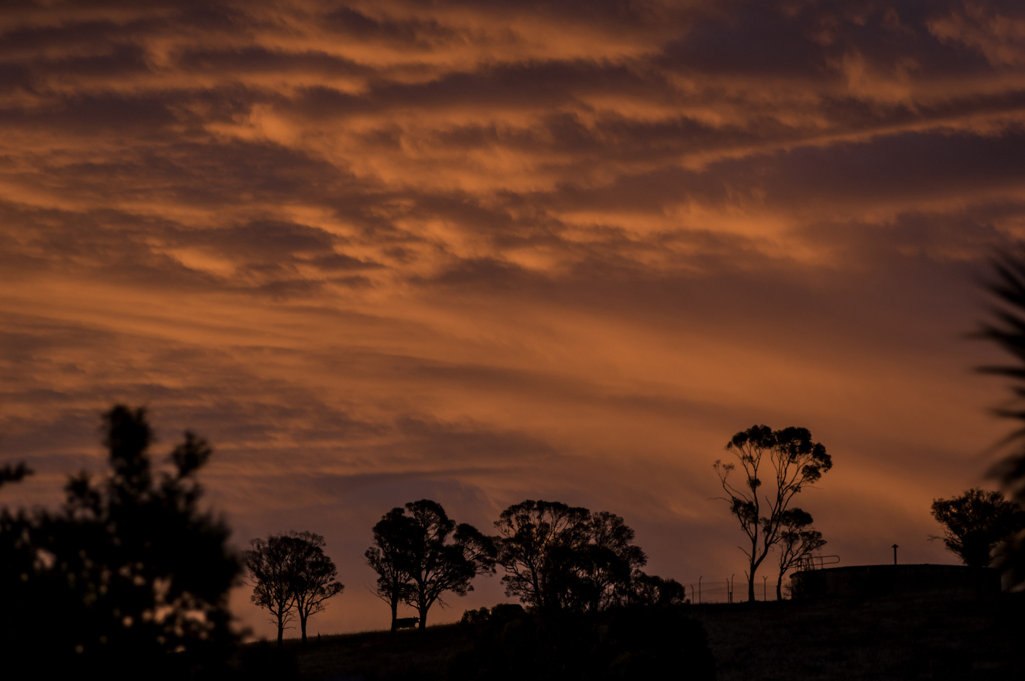 Pentax K-3 II + Pentax smc DA* 60-250mm F4.0 ED (IF) SDM sample photo. Sunset in goulburn 2 photography