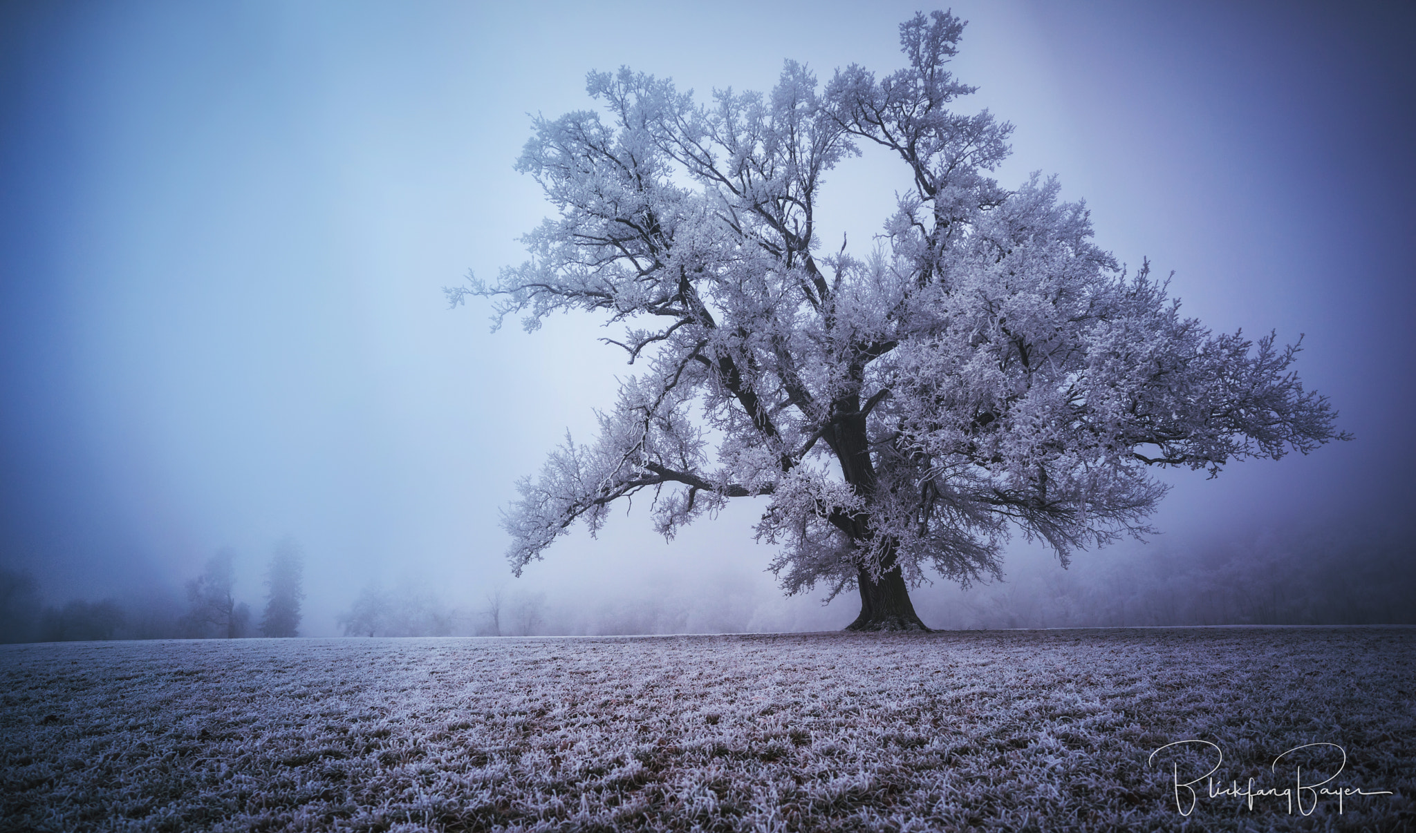 E 18mm F2.8 sample photo. Foggy morning photography