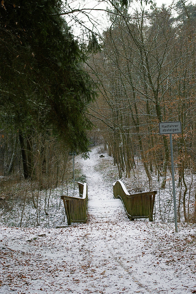 Pentax K100D Super sample photo. Bridge to an other land photography