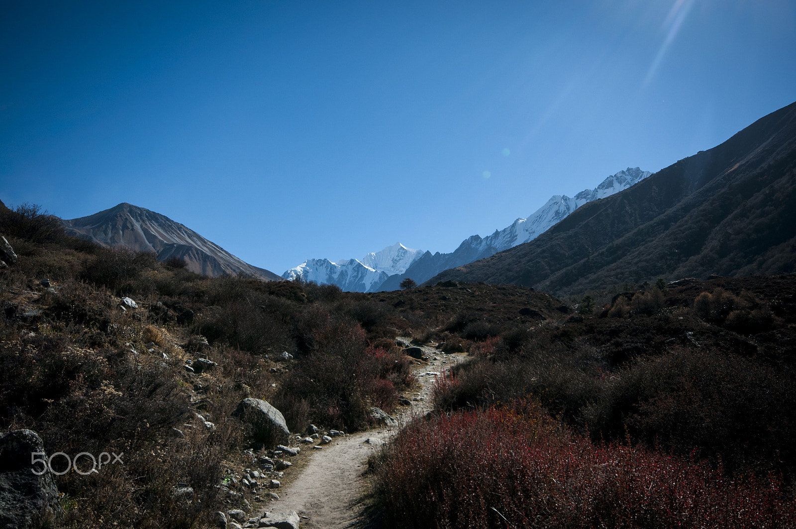 Sigma 10-20mm F4-5.6 EX DC HSM sample photo. Langtang valley photography