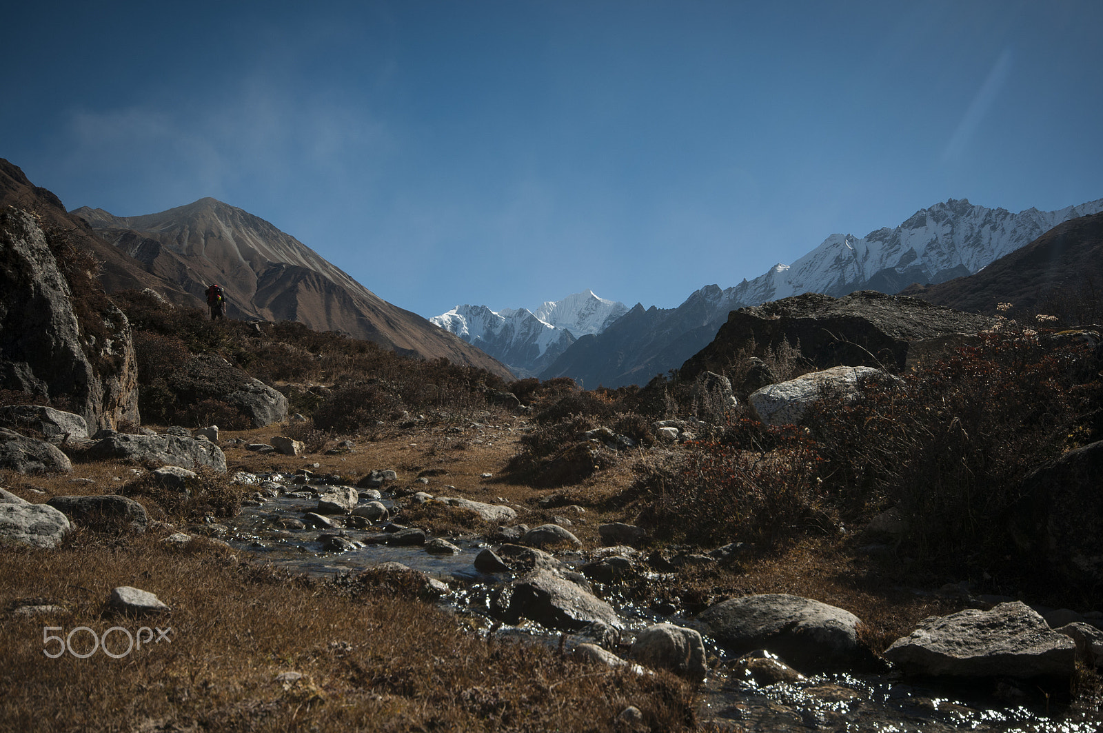 Nikon D300S sample photo. Langtang valley photography