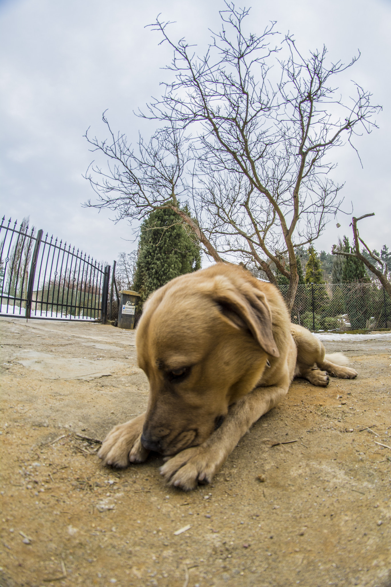 Samyang 8mm F3.5 Aspherical IF MC Fisheye sample photo. A different perspective 12.02.2017 photography