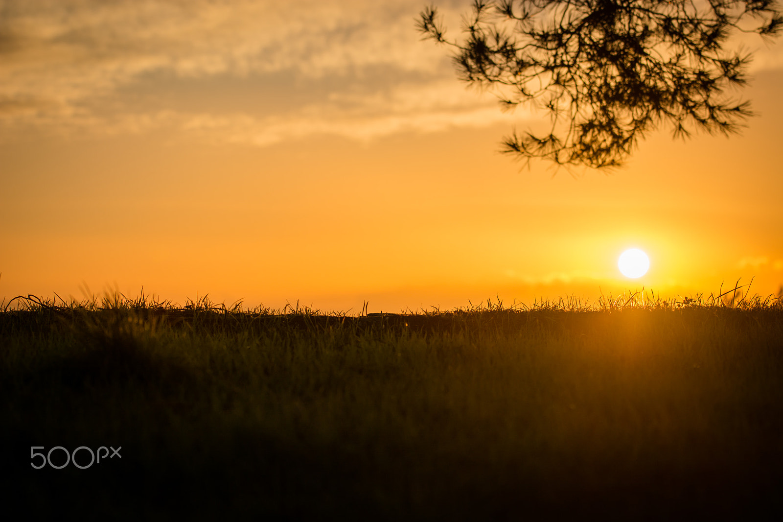 Nikon AF-S Nikkor 70-200mm F4G ED VR sample photo. Small world photography