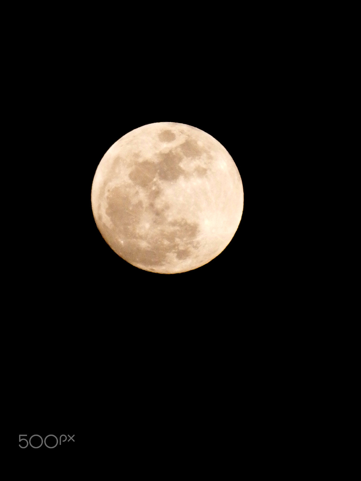 Olympus SZ-16,DZ-105 sample photo. Happy lunar new year photography