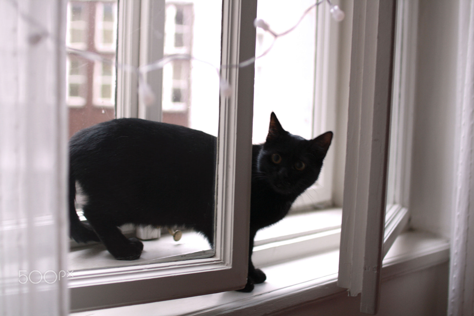 Sigma 30mm F1.4 EX DC HSM sample photo. Sunday casual photography