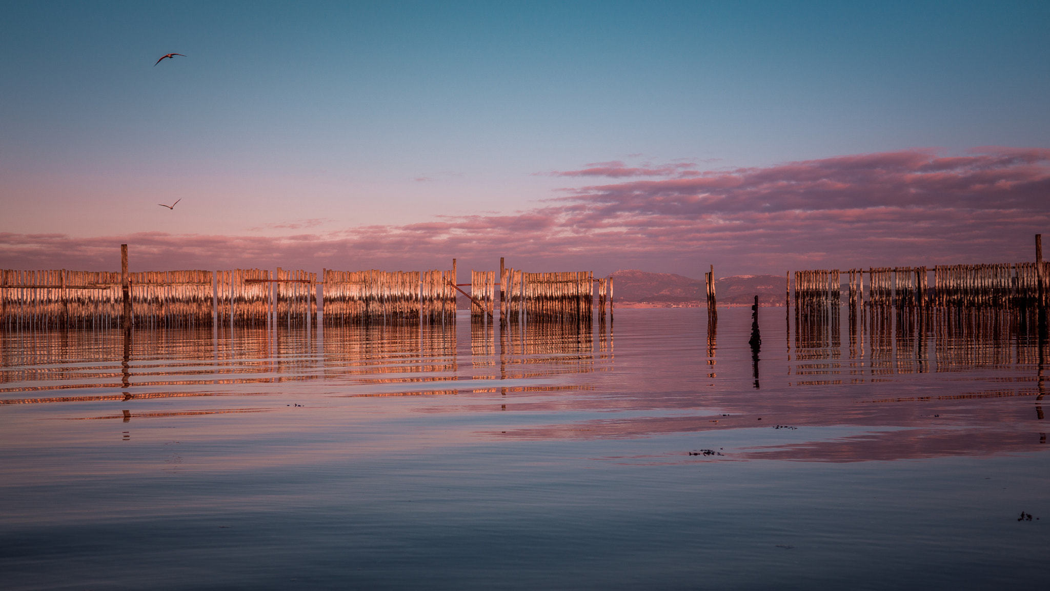Sigma 30mm F2.8 EX DN sample photo. Pier photography
