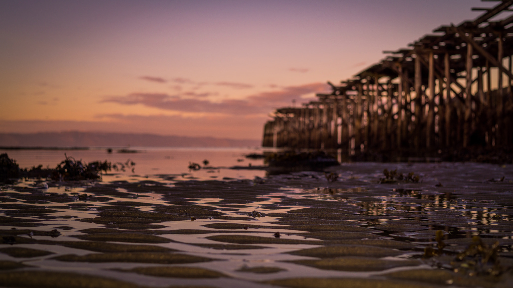 Sigma 30mm F2.8 EX DN sample photo. Sealevel photography