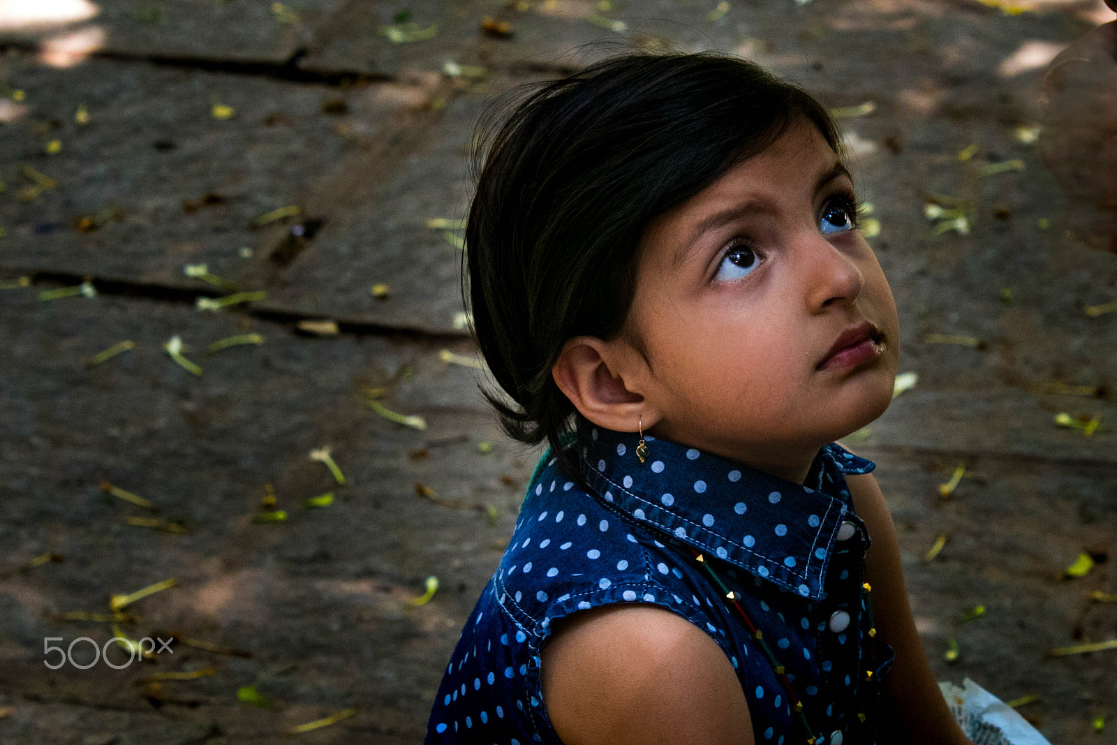 Canon EF-S 18-55mm F3.5-5.6 IS sample photo. Img gaze photography